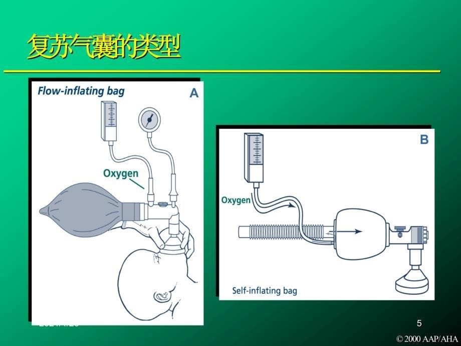 新生儿窒息复苏教程(最新第六版)第3课_第5页