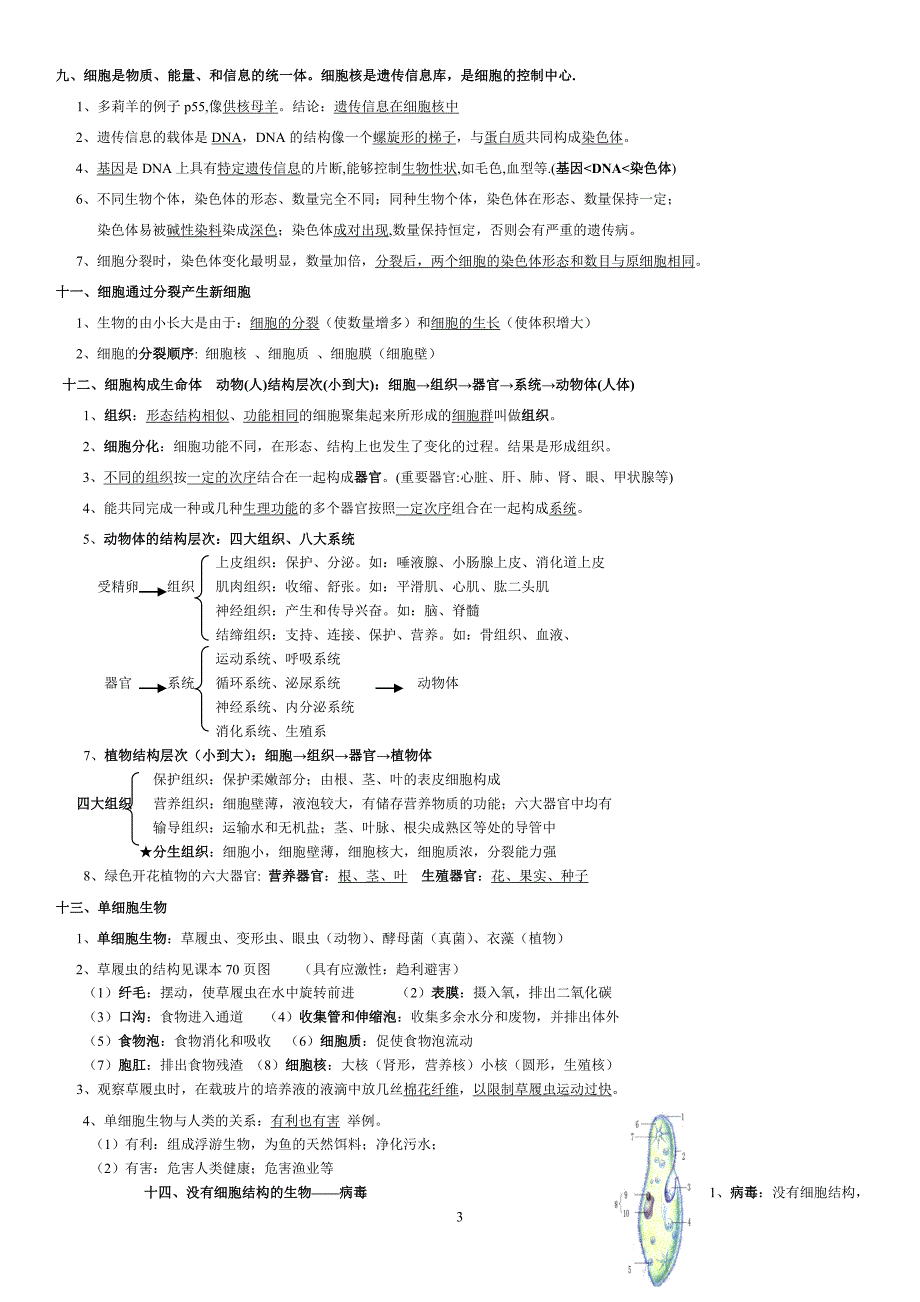 人教版七年级生物上册期末复习提纲完整版.doc_第3页