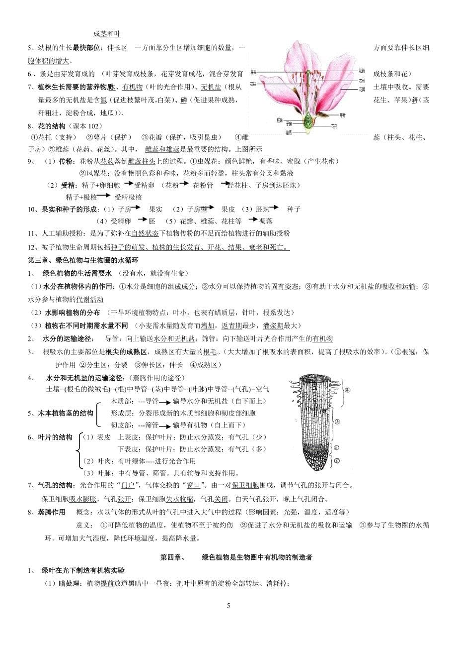 人教版七年级生物上册期末复习提纲完整版.doc_第5页