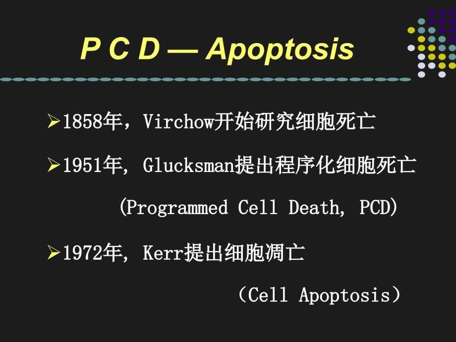 细胞凋亡与肿瘤_第5页