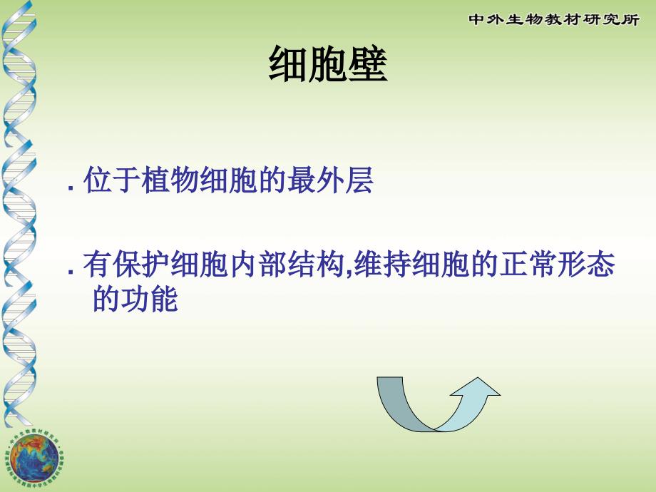 苏教版植物细胞的结构和功能.ppt_第4页