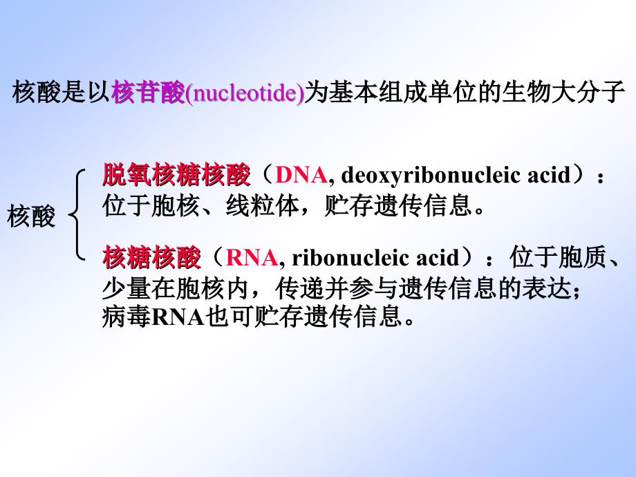 生物化学与分子生物学：第二章核酸的结构与功能_第4页