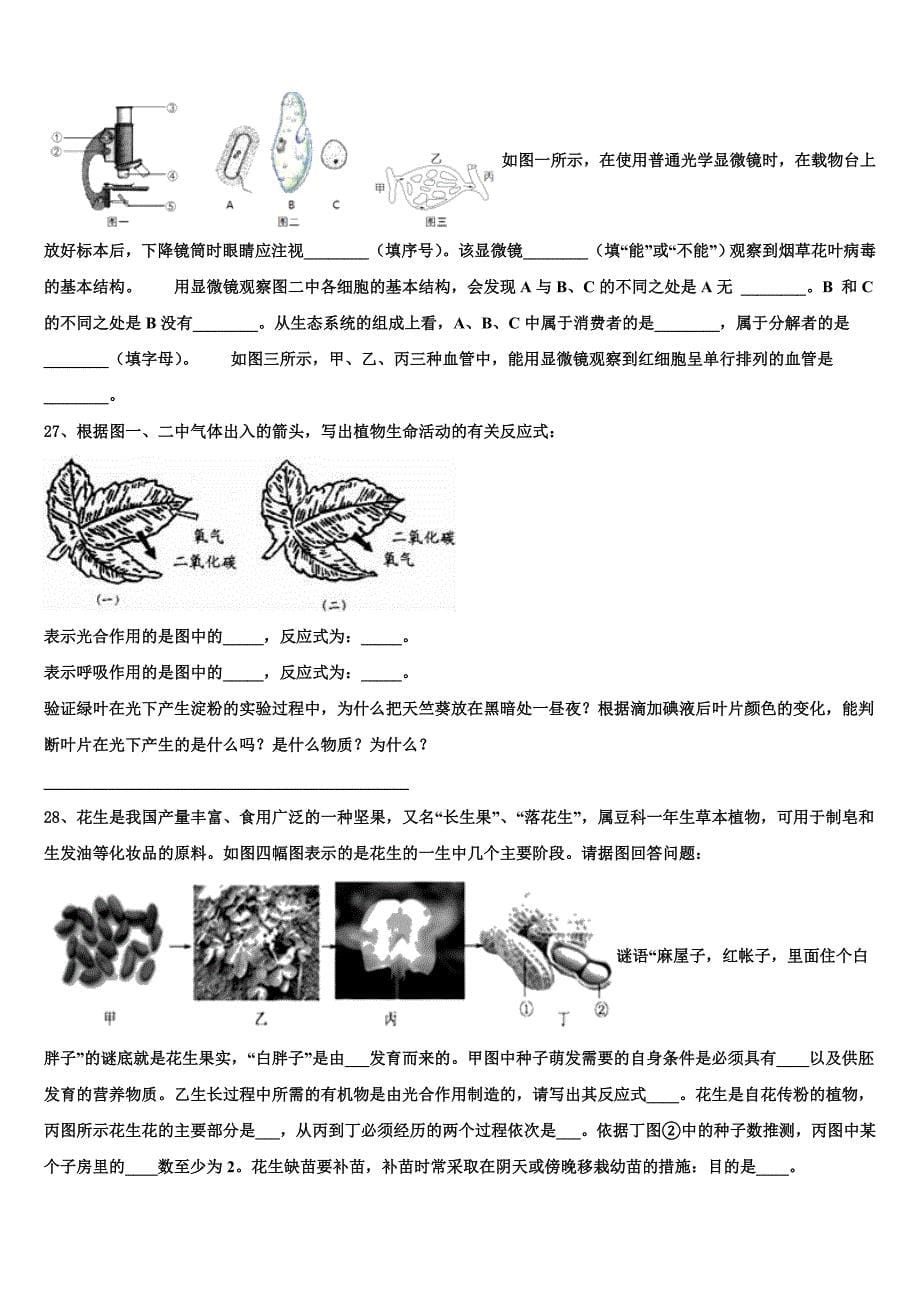 2023届浙江省嘉兴、舟山重点达标名校中考三模生物试题含解析.doc_第5页