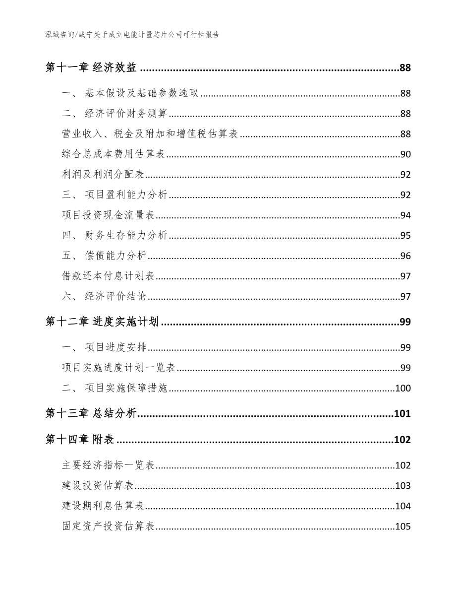 咸宁关于成立电能计量芯片公司可行性报告_范文模板_第5页