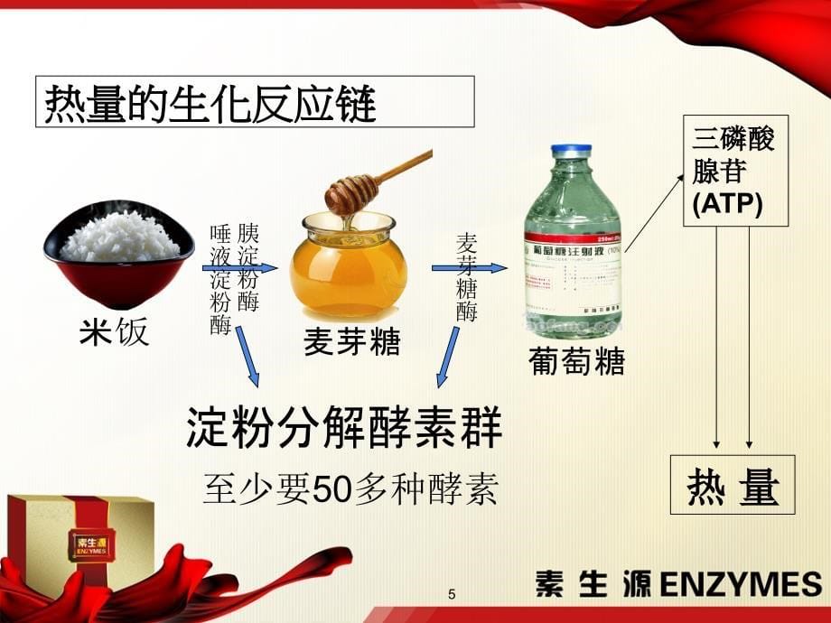 铸源 素时生源(酵素)应用营养学_第5页