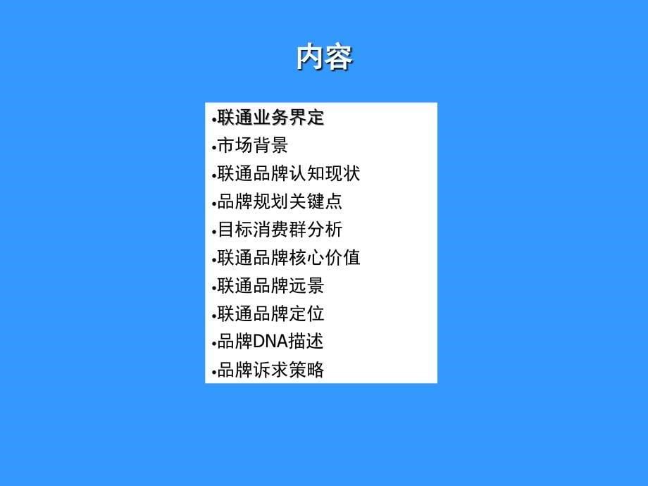 广东联通整合营销建议_第5页