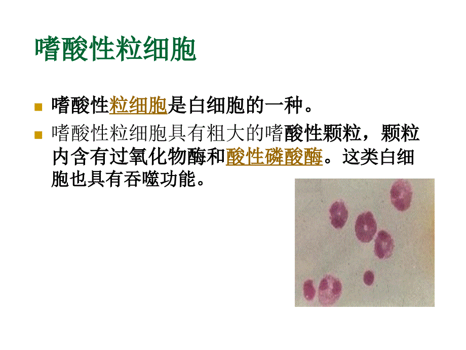 嗜酸性胃肠炎_第3页