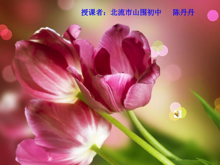 第四节_单细胞生物(有镜版)_第1页