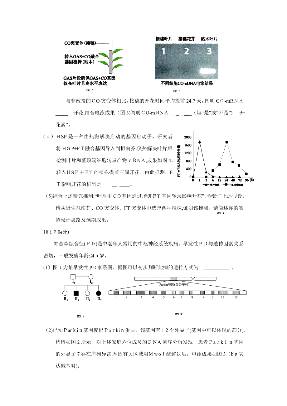 西城区生物一模试题及答案_第4页