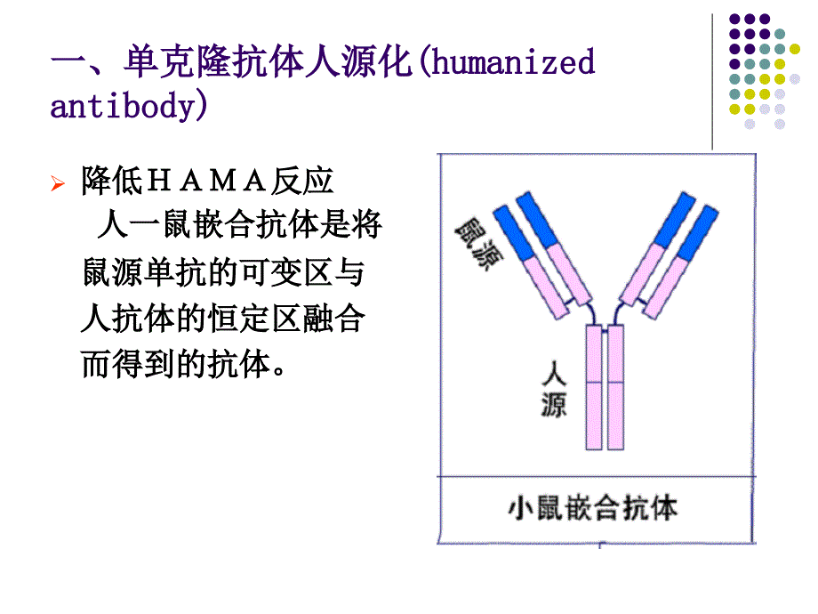 生物技术制药：4-抗体工程制药-2_第4页