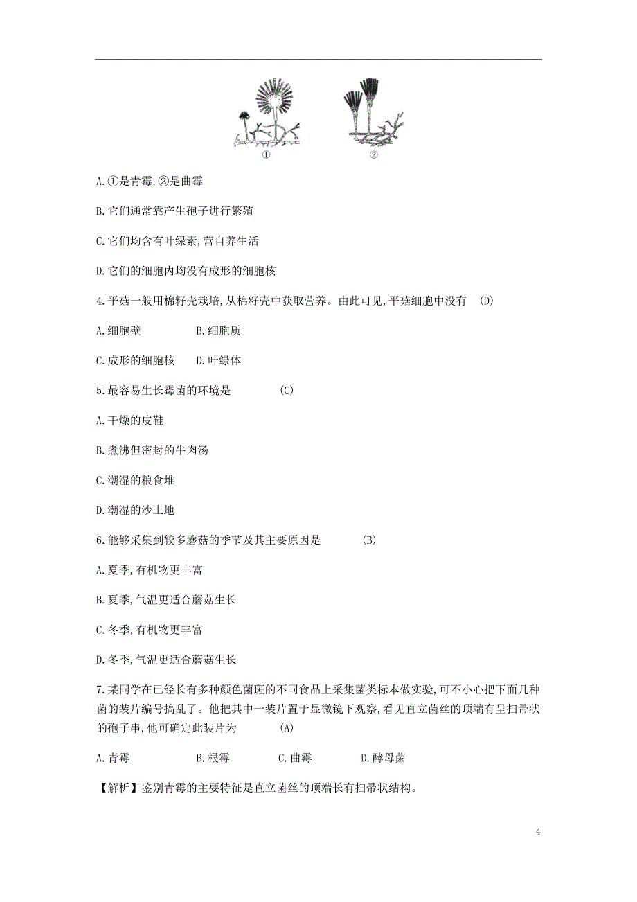 八年级生物上册5.4.3真菌学案新版新人教版_第4页