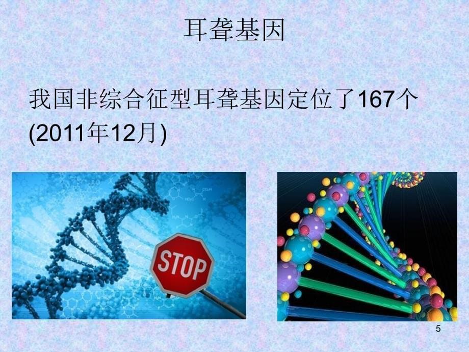 耳聋基因及遗传特征ppt课件_第5页