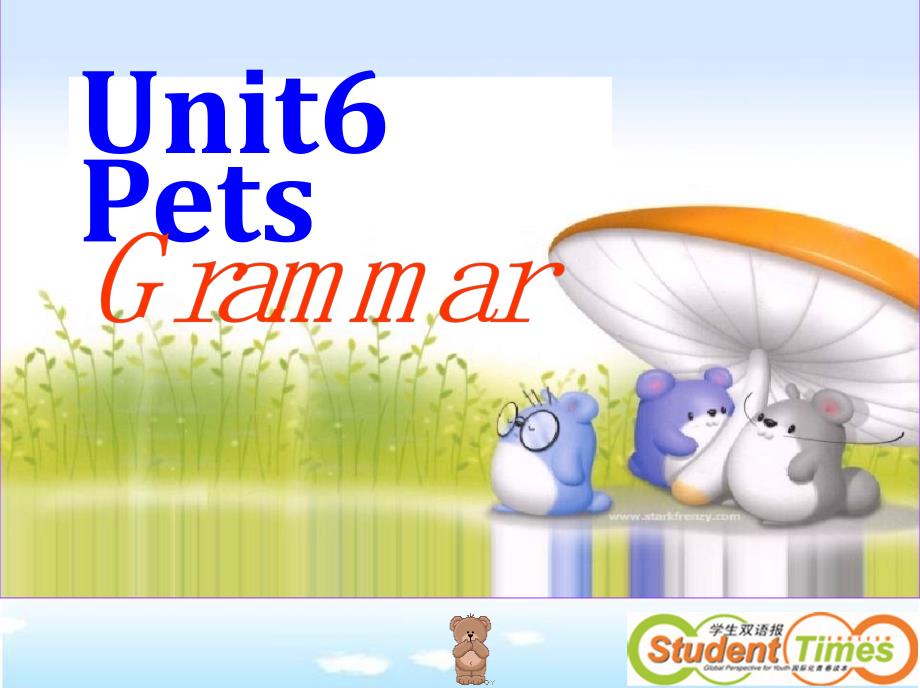 Unit6PetsGrammar_第1页