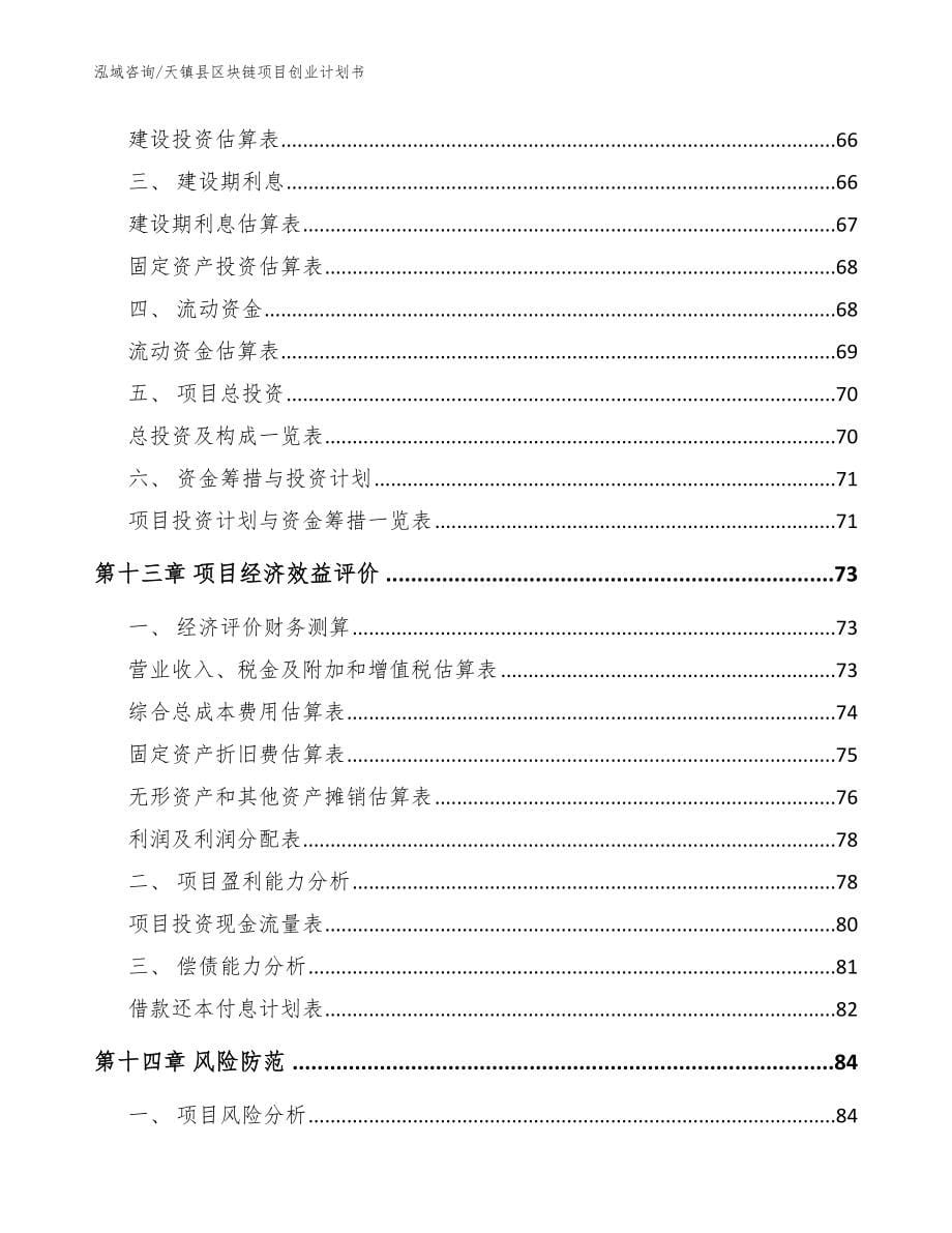 天镇县区块链项目创业计划书_第5页