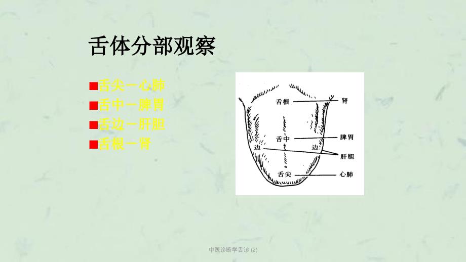 中医诊断学舌诊2课件_第2页