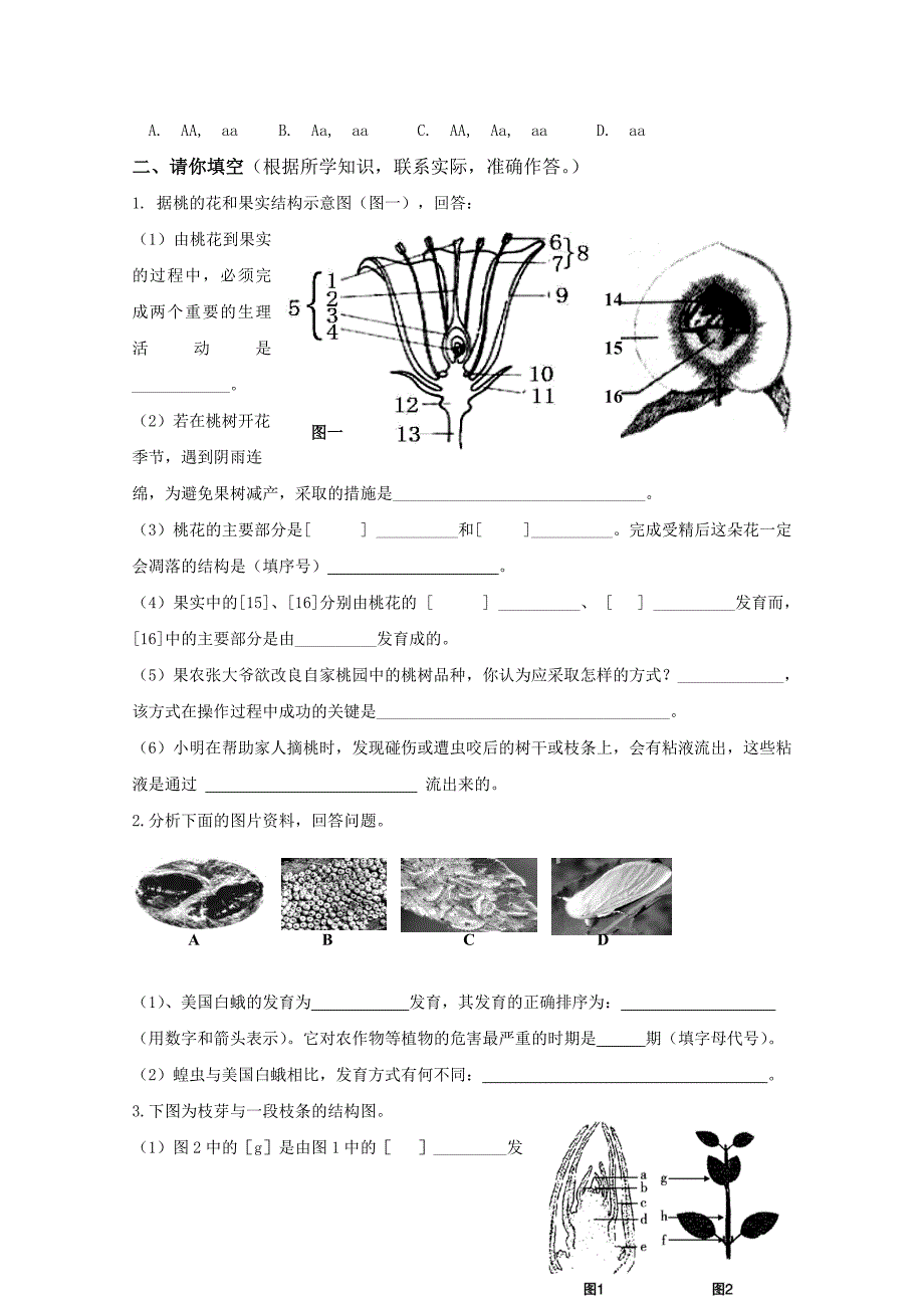 八年级上册期末测试二_第3页