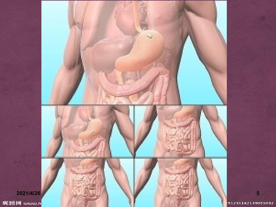 急慢性胃炎护理教学课件_第5页