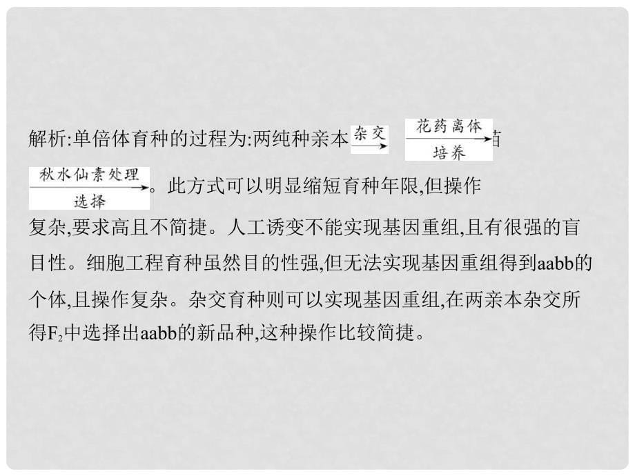 高考生物一轮复习 第6章 从杂交育种到基因工程课件 新人教版必修2_第5页