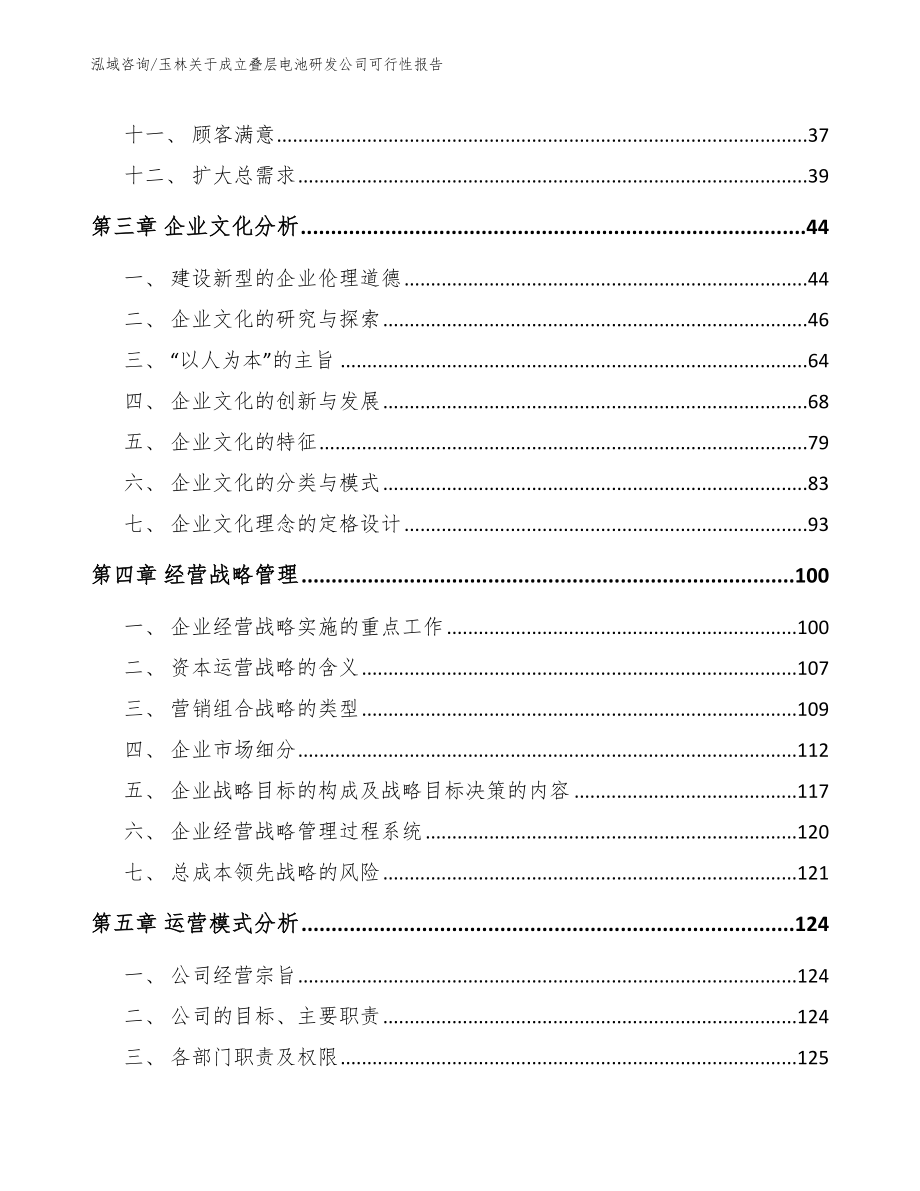 玉林关于成立叠层电池研发公司可行性报告_第2页