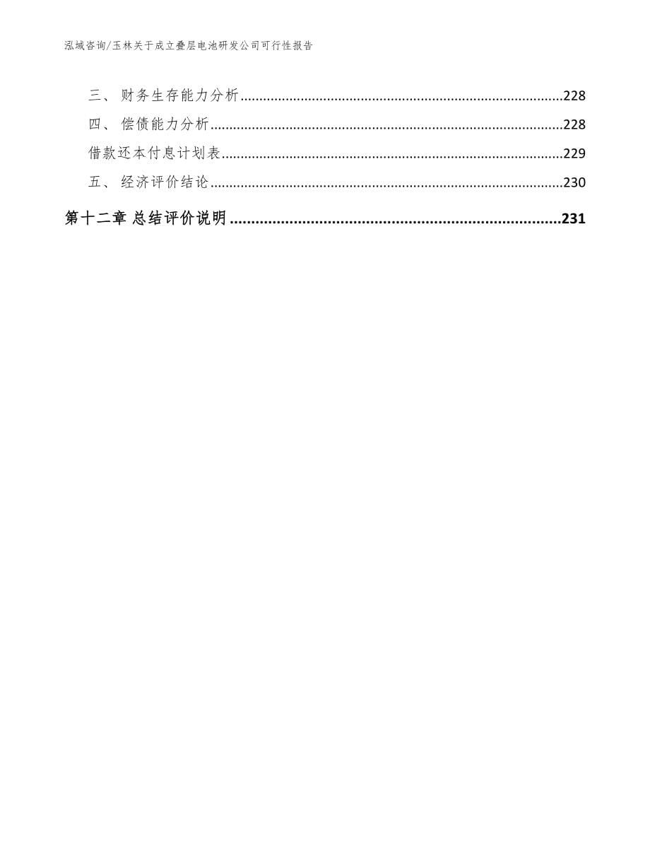 玉林关于成立叠层电池研发公司可行性报告_第5页