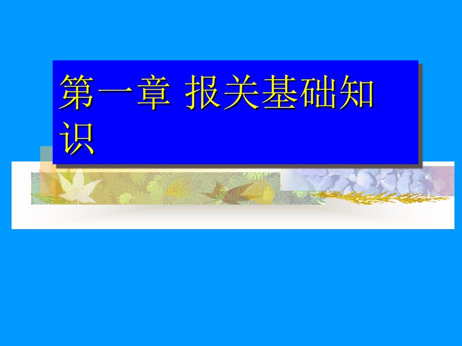 第一章 报关概述精编版_第1页