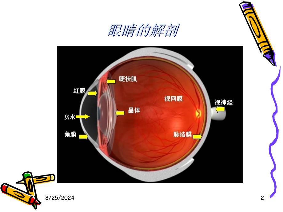 眼科基础知识知识讲解课件_第2页