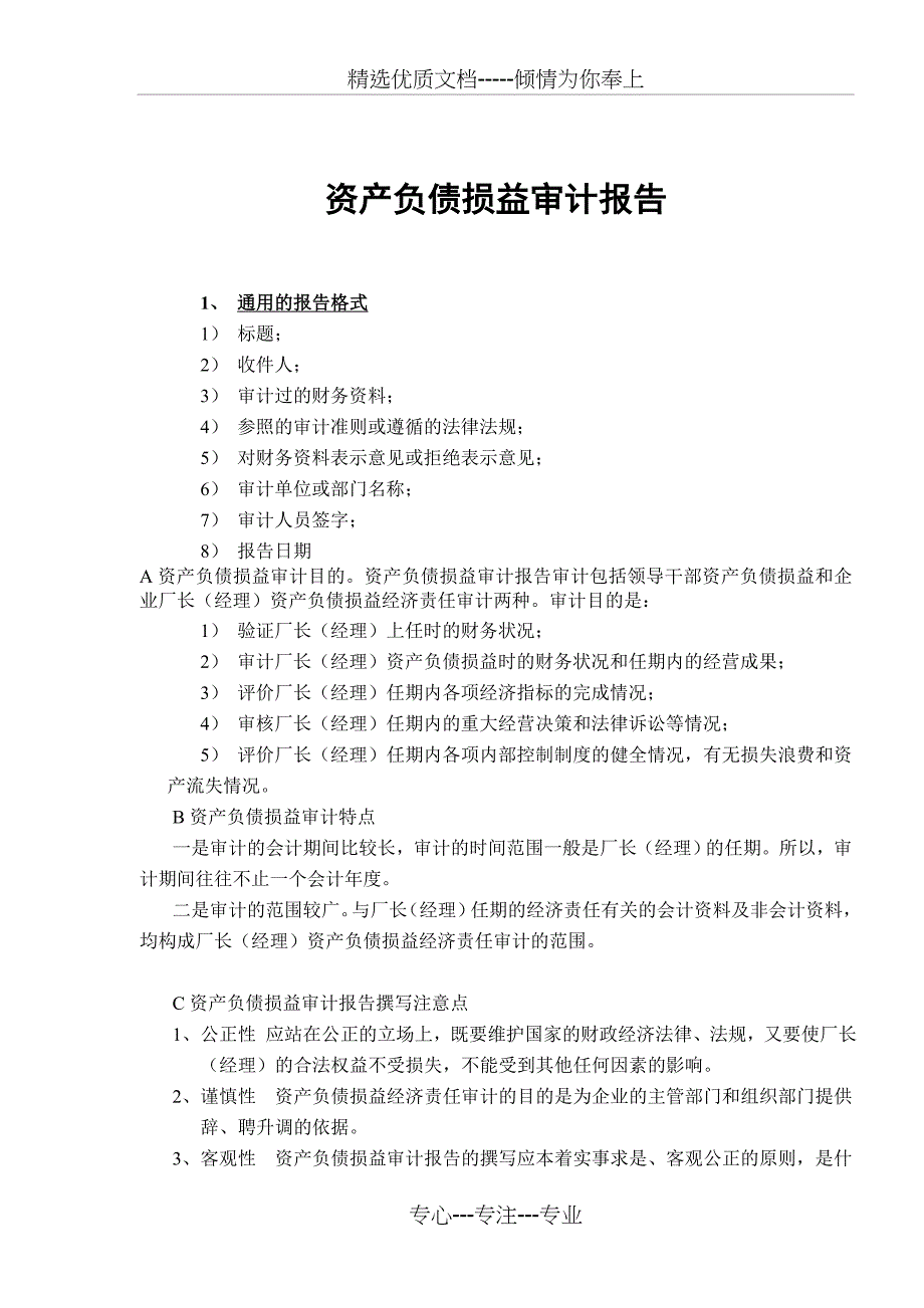 资产负债损益审计报告_第1页