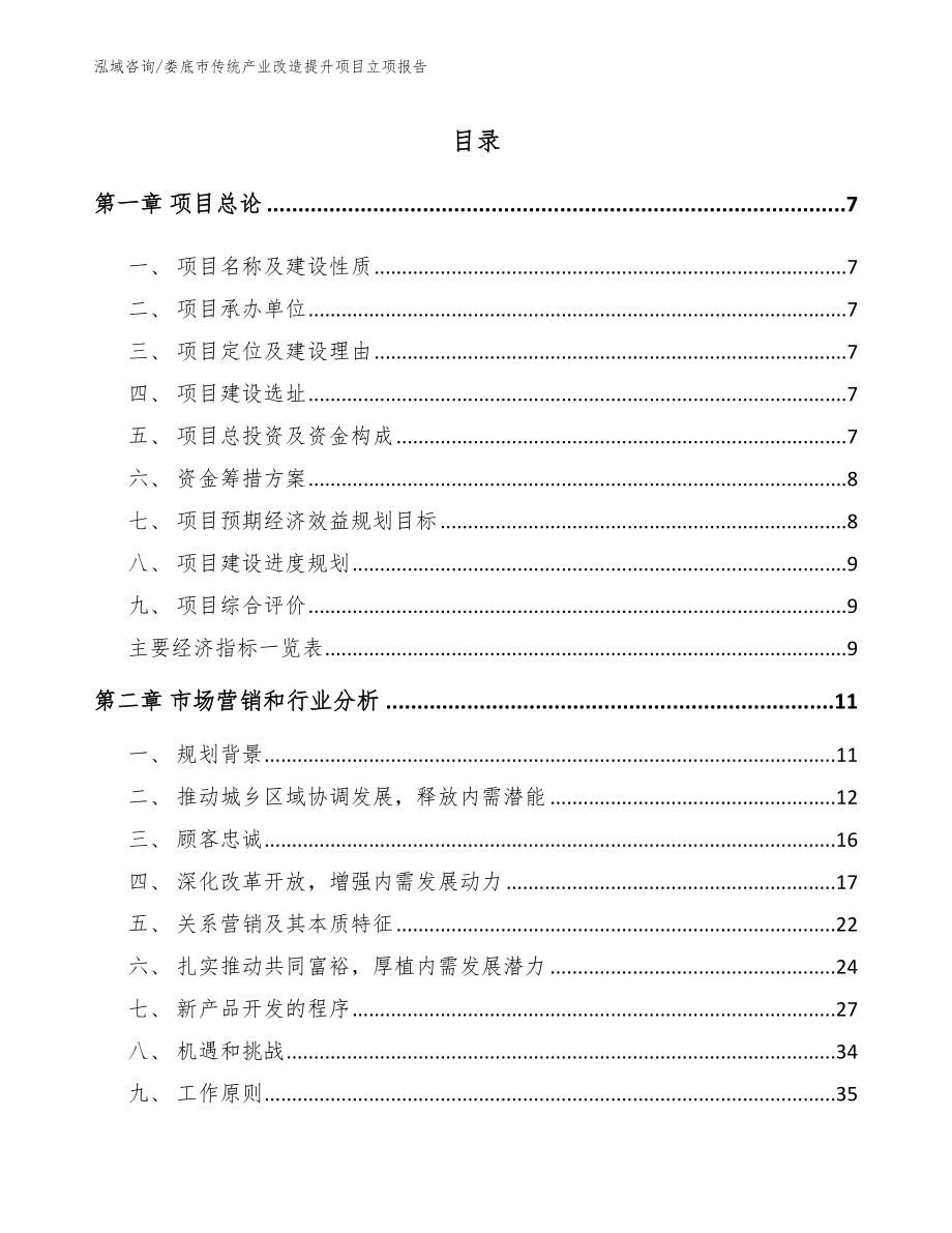 娄底市传统产业改造提升项目立项报告（模板参考）_第2页