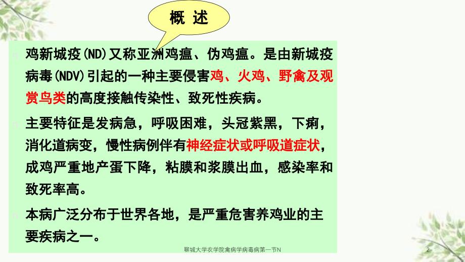 聊城大学农学院禽病学病毒病第一节N课件_第2页