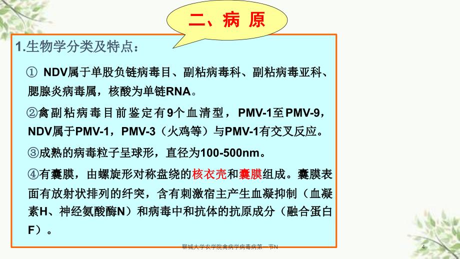 聊城大学农学院禽病学病毒病第一节N课件_第4页