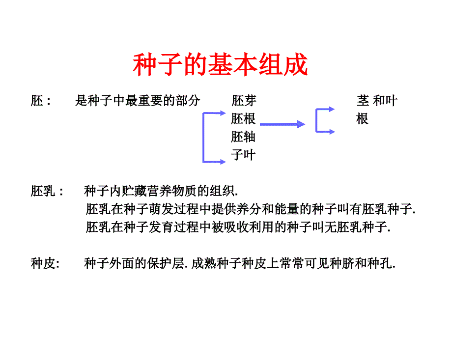 植物学八种子课件_第2页