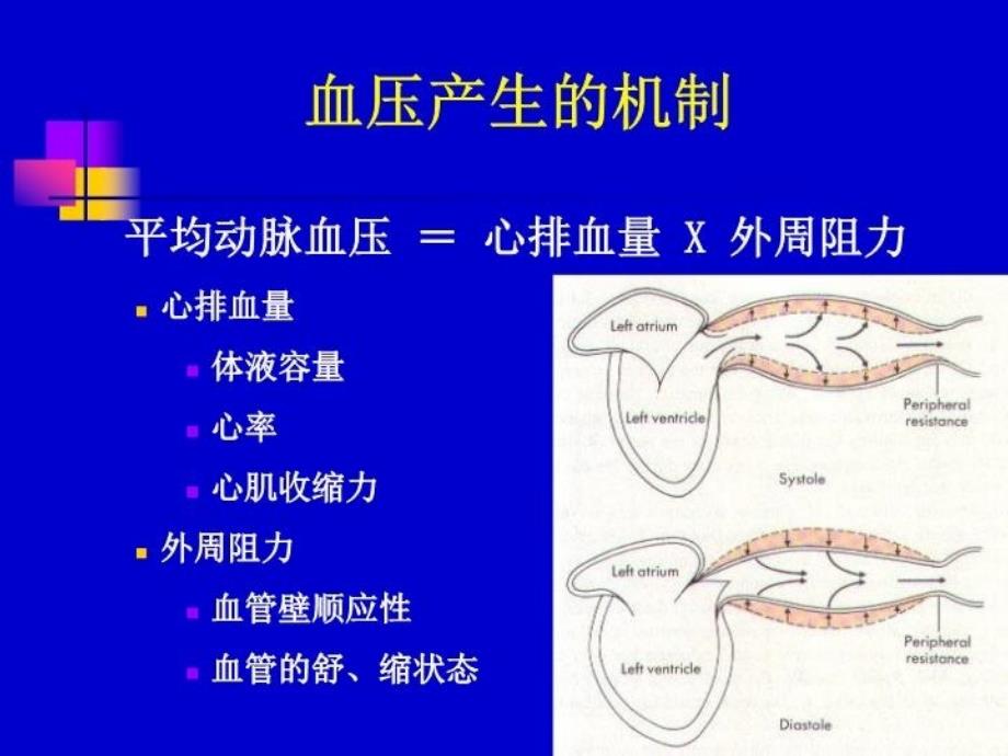 最新循环系统疾病高血压PPT课件_第4页