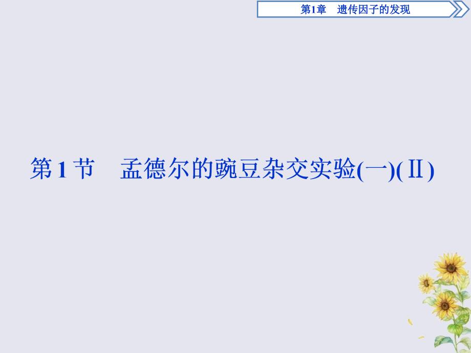 20222023高中生物第1章遗传因子的发现第1节孟德尔的豌豆杂交实验一课件新人教版必修_第1页