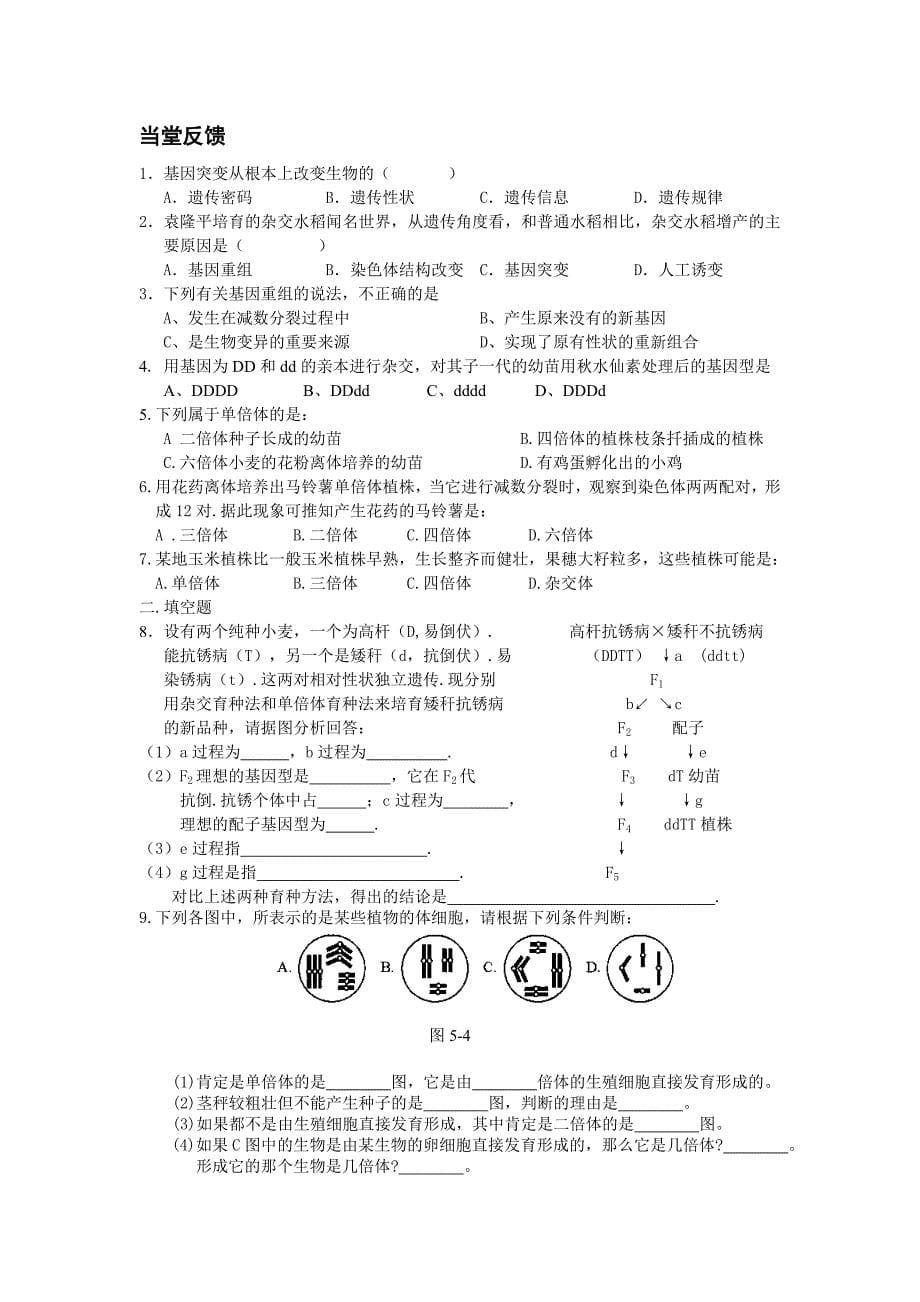 第四章生物的变异 第1、2节生物变异的来源及应用.doc_第5页