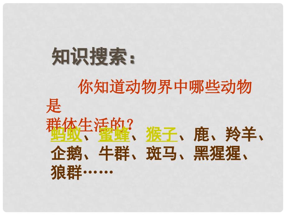 吉林省通榆县第八中学八年级生物上册 5.2.3 社会行为课件 （新版）新人教版_第2页