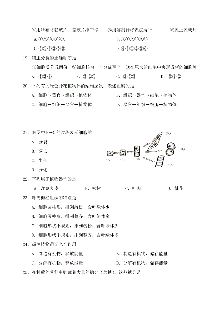 初一第一学期期末复习测试题2_第3页