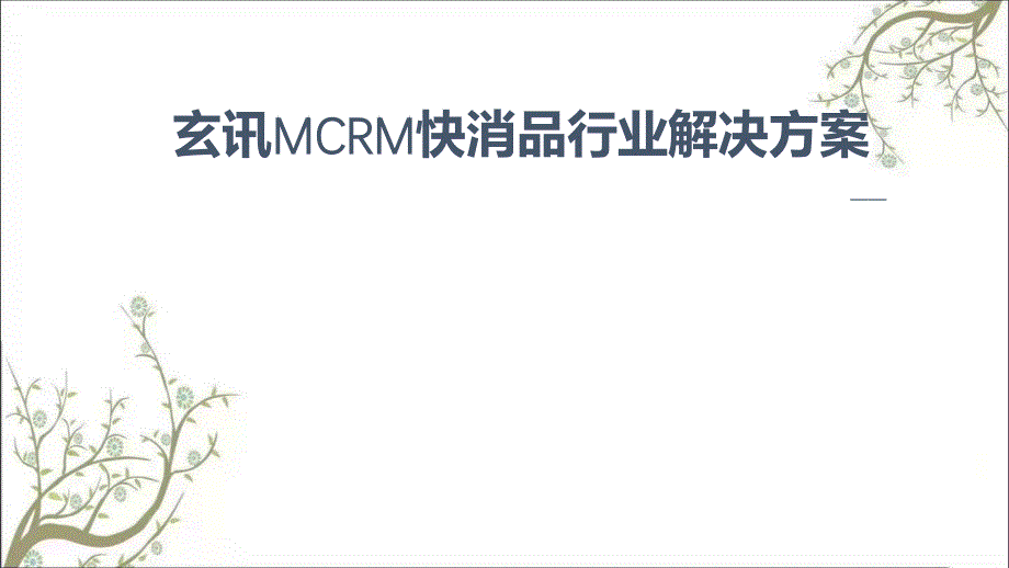 玄讯MCRM快消品行业解决方案课件_第1页