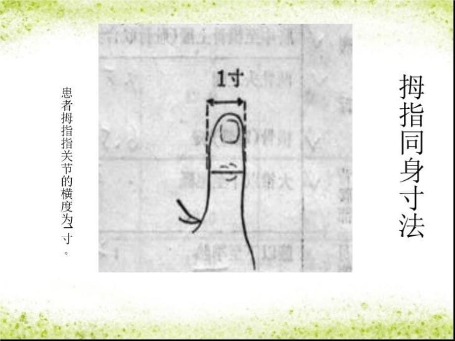 最新常用穴位定位及应用PPT课件_第5页