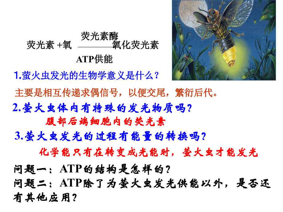 细胞的能量通货--ATP-课件-高三高考生物一轮复习_第4页