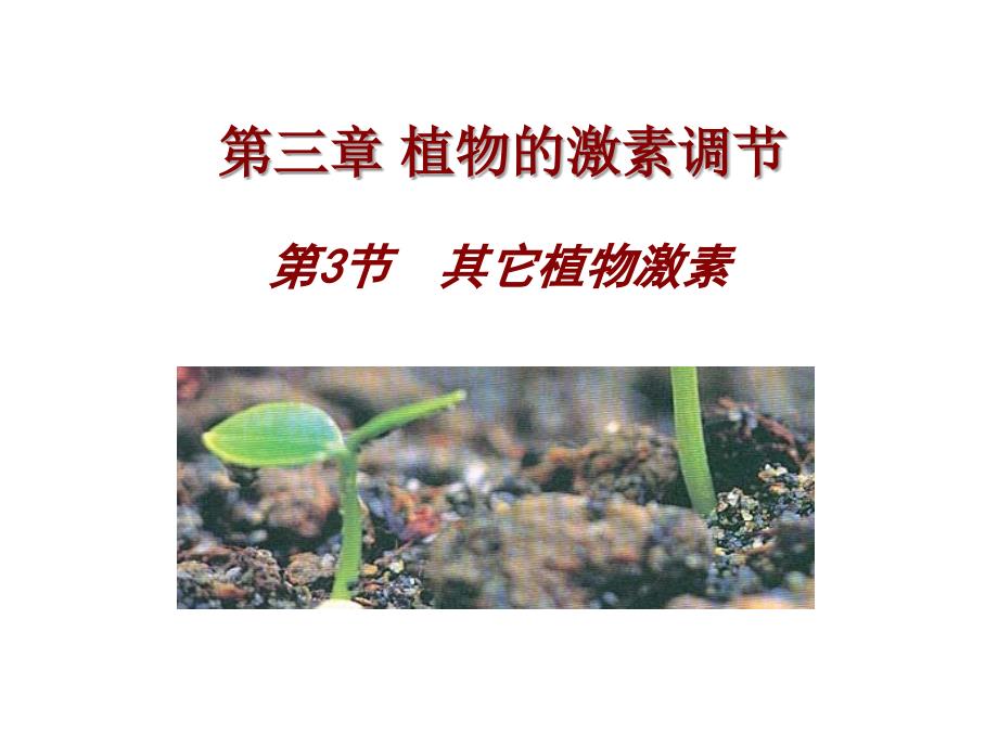 其他植物激素_第1页