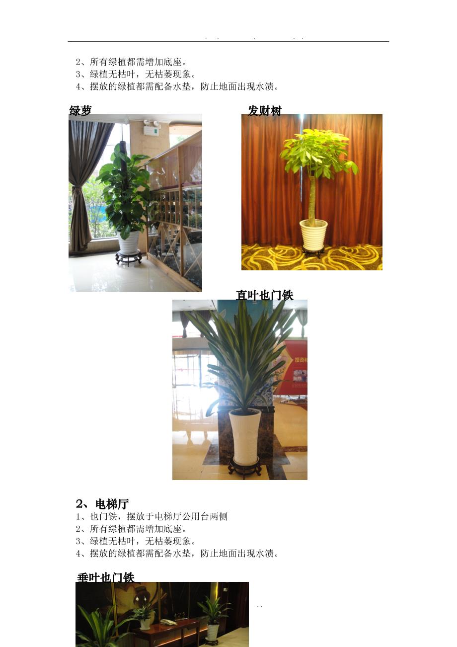 酒店绿植租摆标准V1.0_第3页