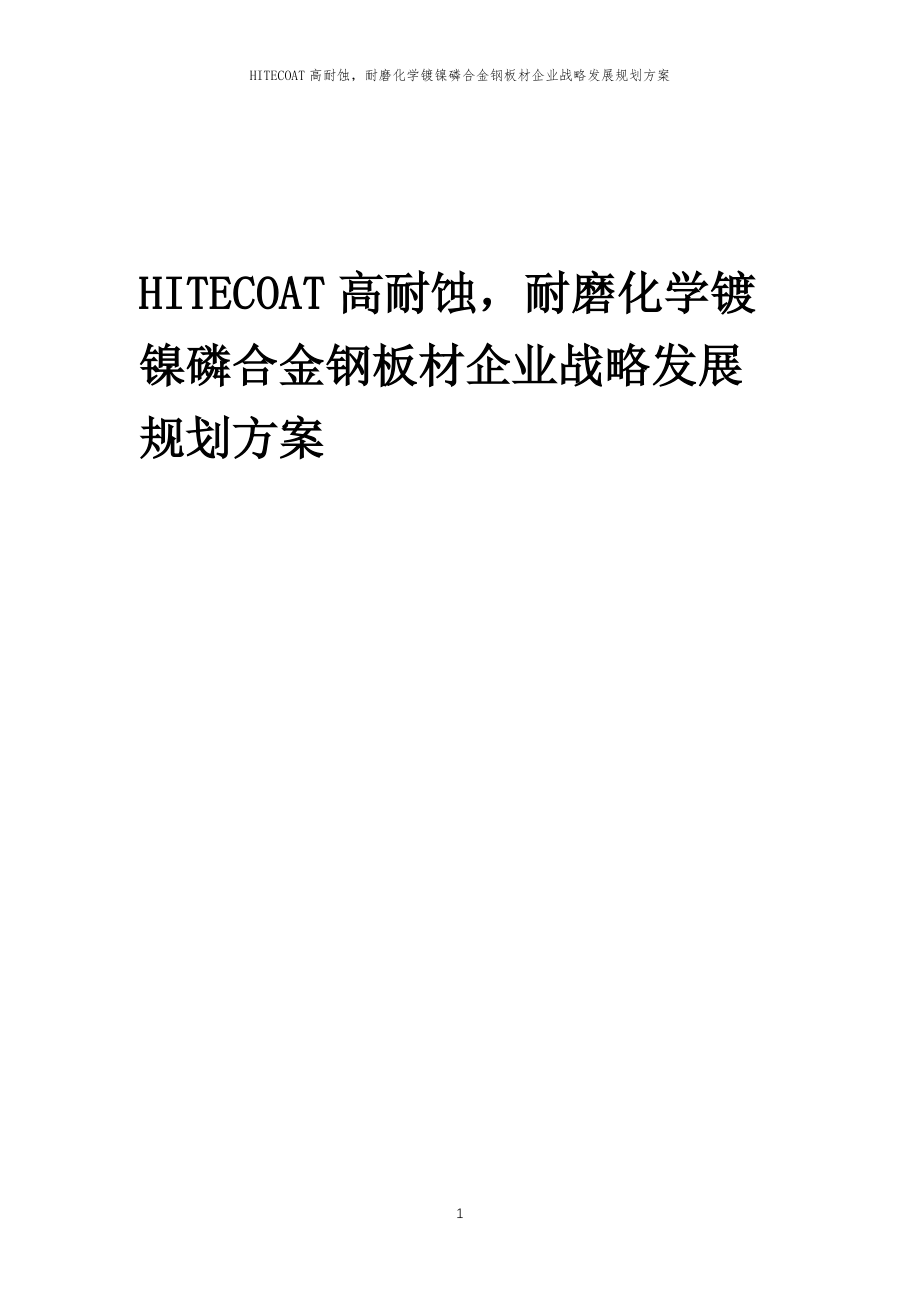 2023年HITECOAT高耐蚀耐磨化学镀镍磷合金钢板材企业战略发展规划方案_第1页