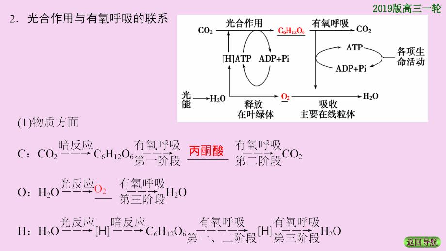 必修1第3单元第4讲光合作用2ppt课件_第3页