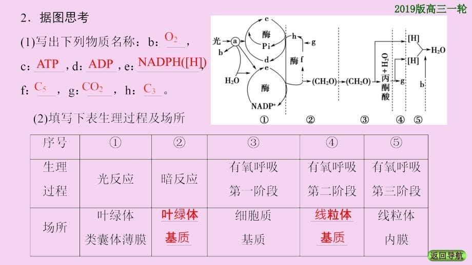 必修1第3单元第4讲光合作用2ppt课件_第5页