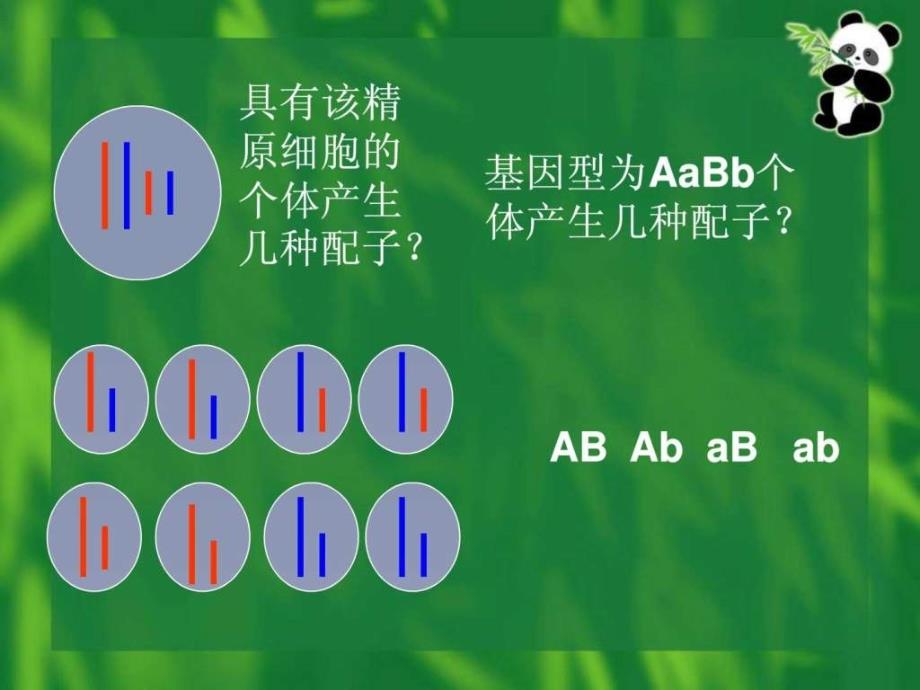 生物高中必修2第二章第二节课件5_第1页