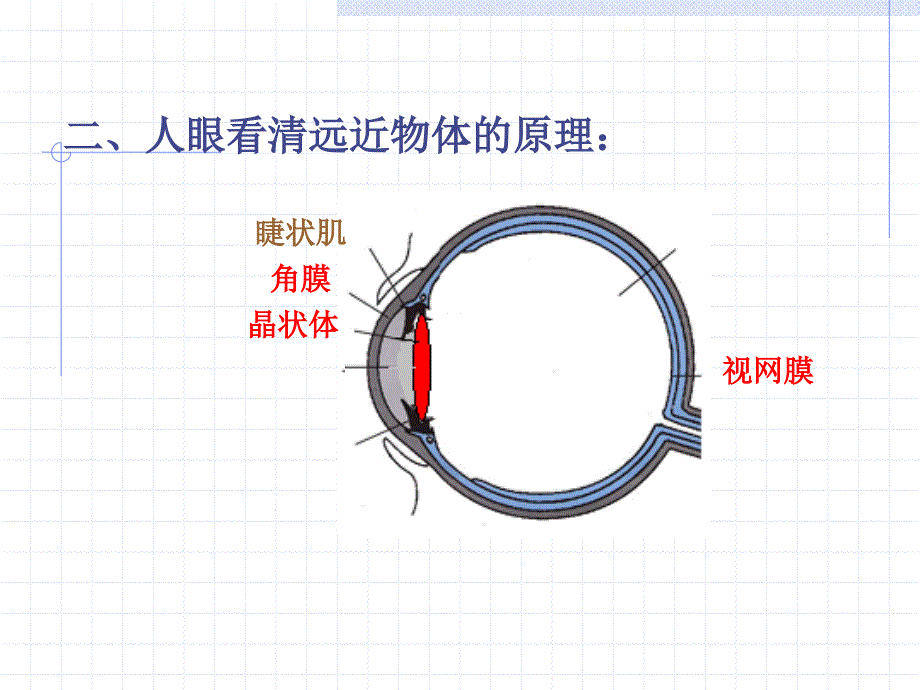 初二物理眼睛和眼镜_第3页