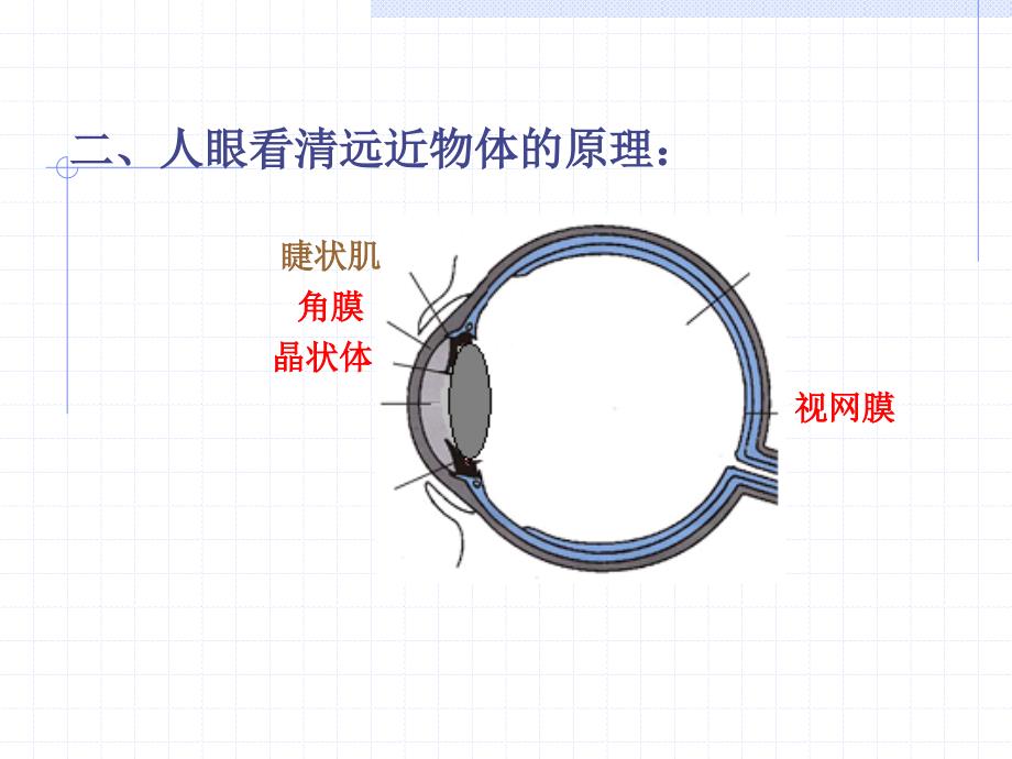 初二物理眼睛和眼镜_第4页