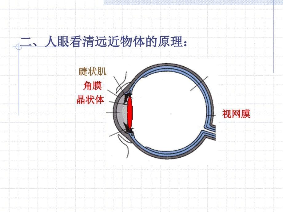 初二物理眼睛和眼镜_第5页