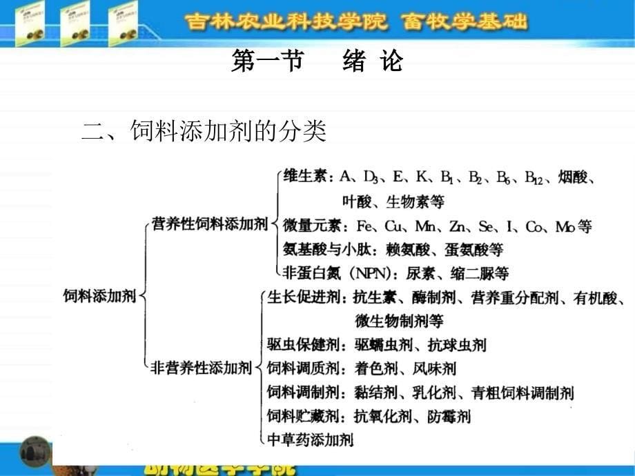 饲料添加剂全_第5页