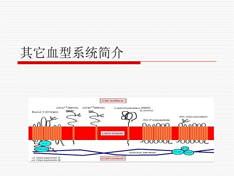 医学专题：其它血型系统简介_第1页